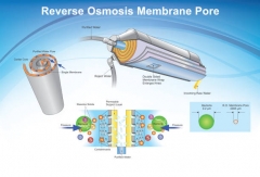 Domestic RO Membrane Reverse Osmosis Membrane 1812 2012 Size 75g 100g 200g 400g 600g Domestic RO Membrane For Household RO System